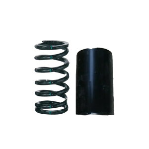 SRN700�p�X�v�����O750 ASSY GA99-Z9750 �Z�C�R�[���b�N 1120182
