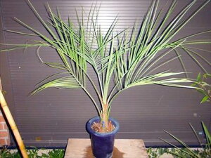 CRRXVc؁E80⃊][g؁iI