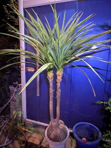 11/23Be iIhZijICVEIwOKI