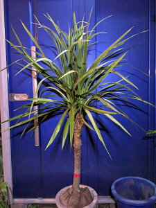 11/23Be iIhZijICVE򊔁IwOKI