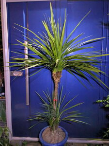 11/23Be iIhZijICVE򊔁IwOKI