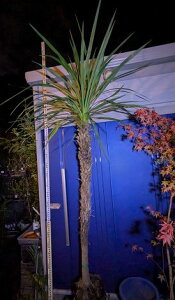 11/11Be iIhZijICVE gIwOKI