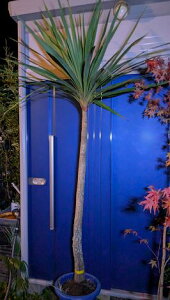 11/11Be iIhZijICVEgIwOKI