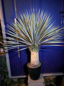 ჆bJEXg[^┫AϊbJ][g؁wI