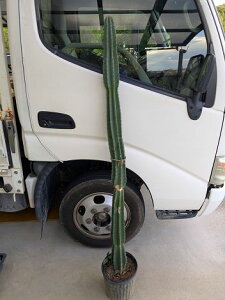 6/23�B�e�E���i�����T�{�e�����n�V���T�{�e�����h���C�K�[�f���ɂ��I�����������w��OK