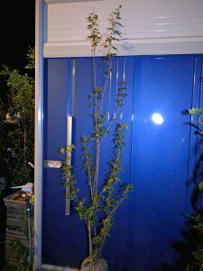 10/28Be iICn~WEICngt~WJGf