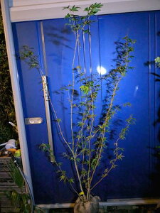 10/28Be iICn~WEICngt~WJGf