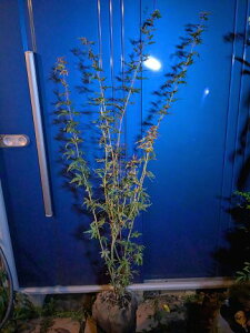 10/28Be iICn~WEICngt~WJGf