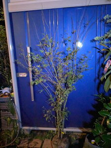 10/28Be iICn~WEICngt~WJGf