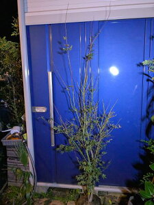 10/28Be iICn~WEICngt~WJGf