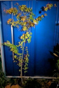 10/28Be iICn~WEICngt~WJGf