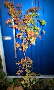 10/28Be iICn~WEICngt~WJGf