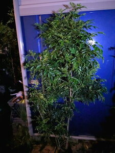 10/28Be i V}glR   {[IwOKI