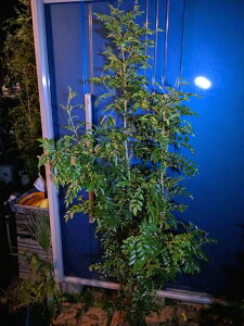 10/28Be i V}glR   {[IwOKI