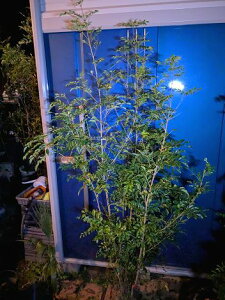 10/28Be i V}glR   {[IwOKI