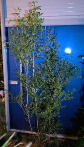 10/28Be i V}glR   {[IwOKI