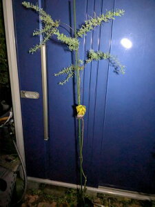 10/20BeEiI~UAJVAMEAJVAtAJVAlCΎ