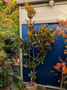 10/28Be iIgWF c ␫ ׎R ^CT{N V{c[ LOE󏭐lCEΖ