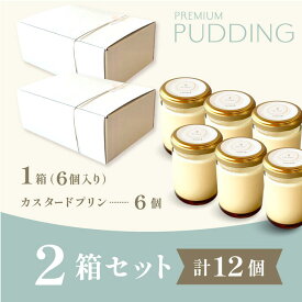 【ポイント3倍】プリン【Wシリーズ カスタードプリン×6個入 2箱セット(計12個)】バレンタイン 成人式 お歳暮 クリスマス ギフト スイーツ お取り寄せ 人気 高級プリン 贈り物 結婚式 引き出物 内祝 お菓子 お礼 御礼 出産祝 誕生日 プレゼント 【wb-wpp6-2set】