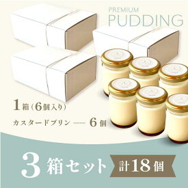 【ポイント3倍】プリン【Wシリーズ カスタードプリン×6個入 3箱セット(計18個)】バレンタイン 成人式 クリスマス ギフト スイーツ お取り寄せ 人気 高級プリン 贈り物 結婚式 引き出物 内祝 お菓子 お礼 御礼 出産祝 誕生日 プレゼント 【wb-wpp6-3set】