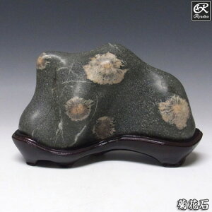 �e�Ԑ� ��2.3kg ��t�� �ӏܐ� ���� �z�� �z�� �V�R�� �p���[�X�g�[��