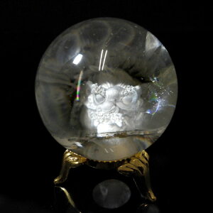 萅 44mm VR p[Xg[  XtBA ۋ 蕨 t