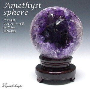 AWXg WI[h uWY ؐt  ۋ XtBA VR p[Xg[ z