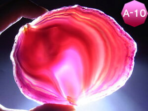 mEXCX J[FsNiTCYj mE R[X^[  ߂̂