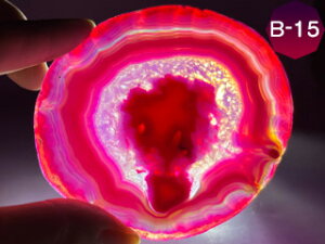 mEXCX J[FsNiTCYj mE R[X^[  ߂̂