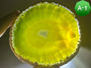 mEXCX J[FO[iTCYj mE R[X^[  ߂̂