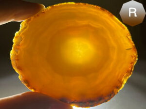 mEXCX J[Fi`iTCYj mE R[X^[  ߂̂