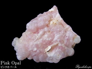 sNIp[  y[Y VR p[Xg[ z