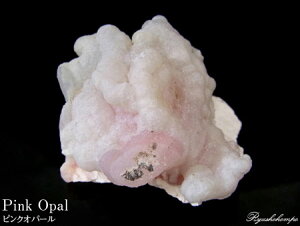 sNIp[  y[Y VR p[Xg[ z