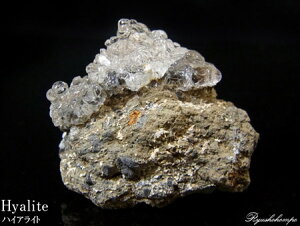 nCACgIp[  `FRY ʓH VR p[Xg[ z