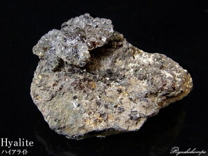 nCACgIp[  `FRY ʓH VR p[Xg[ z