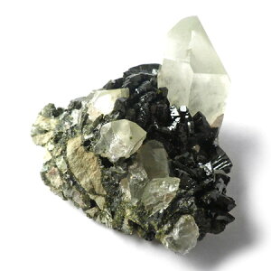 Gsh[g with NH[c  gRY Η΋ z VR p[Xg[