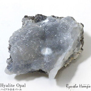 nCACgIp[ u  LVRY ʓH VR p[Xg[ z