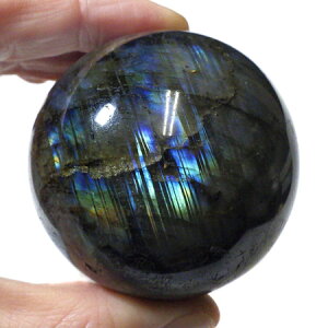 uhCg a59mm }_KXJY VR p[Xg[ ۋ XtBA