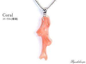 FX R[ y_ggbv TS VR p[Xg[