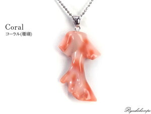 FX R[ y_ggbv TS VR p[Xg[