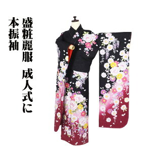 振袖 トールサイズ 着物 女性着物 | 通販・人気ランキング - 価格.com