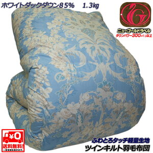 wLgicCLgjHѕzcj[S[hxzCg_bN_E85 1.3kgӂƂ^b`yʐnB