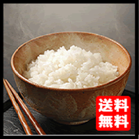 楽天市場】【令和7年産】【送料無料】山形県コシヒカリ 精白米20kg(5