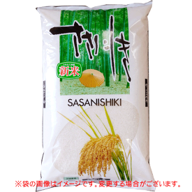 【令和5年産米】【送料無料】精米 山形県庄内産ササニシキ 5kg