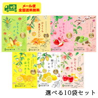 南信州菓子工房 半生 ドライフルーツ 選べる10袋セット レモン いちご りんご 梅 はっさく オレンジ メー…