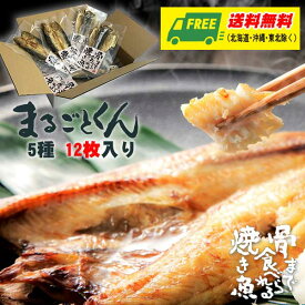 マルコーフーズ まるごとくん 骨まで食べられる焼き魚 5種 12袋セット