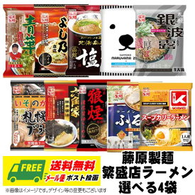 藤原製麺 北海道 繁盛店の味 選べるラーメン4袋