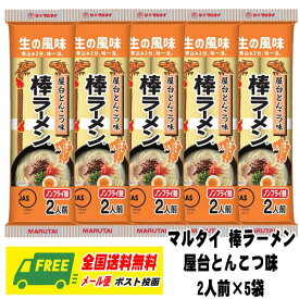 マルタイ 棒ラーメン 屋台とんこつ味 2人前 × 5袋セット 即席 ノンフライ麺 インスタントラーメン（配達日時指定・代引き不可）メール便 送料無料