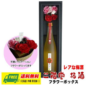 Ε ~Mtg IWiMtg K ~iAȔ~jt[{bNX  v[g j j a