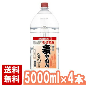 ˂ 25x 5000ml×4{Zbg(1P[X) Ē ybg e 5L